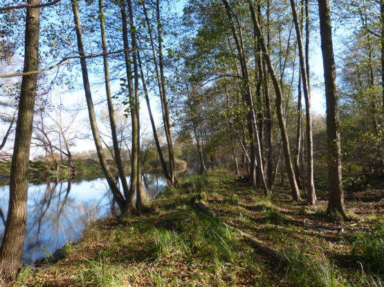 11-Finowfurt-1