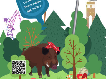 20240820_WCD_Sauberswalde_Plakat