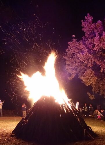 {{brizy_dc_image_alt imageSrc=