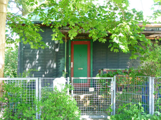 P1020192-bearb