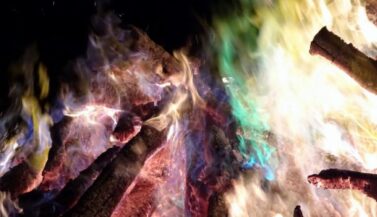 {{brizy_dc_image_alt imageSrc=